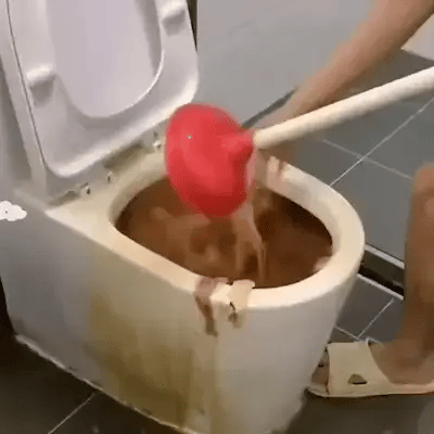 Pudră Fosă Septică