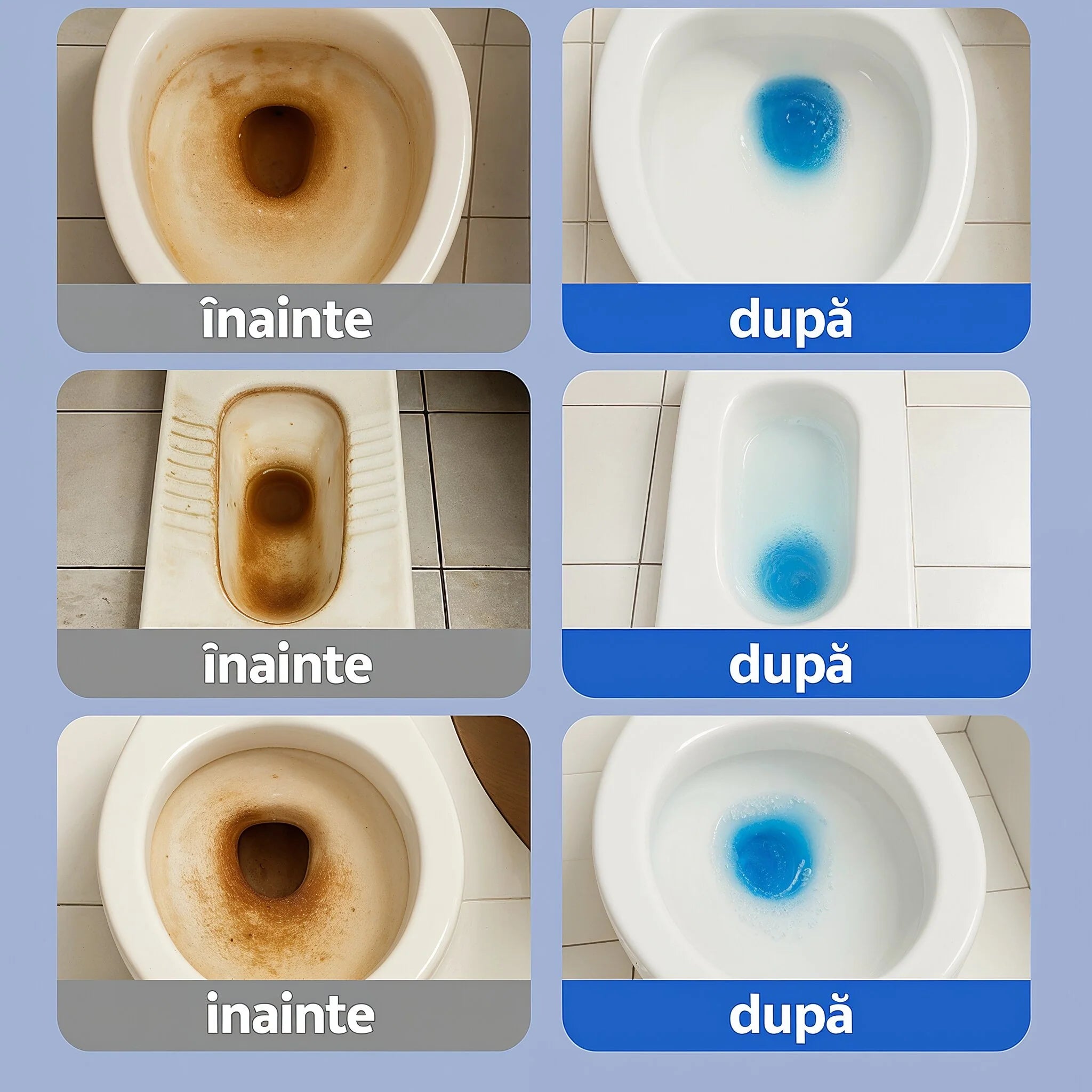 Pudră Fosă Septică