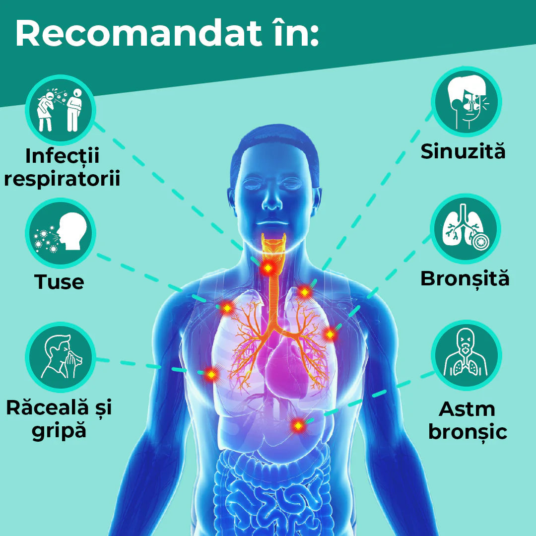 Aparat Aerosoli Nebulizator Portabil